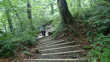 p7190162_thumb.jpg
