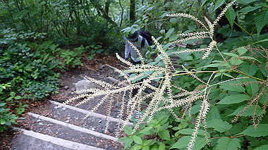 p7190164_thumb.jpg