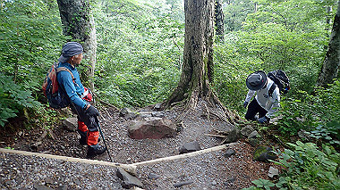 p7190166_thumb.jpg