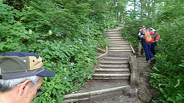 p7190167_thumb.jpg