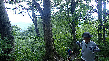 p7190168_thumb.jpg