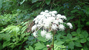 p7190174_thumb.jpg