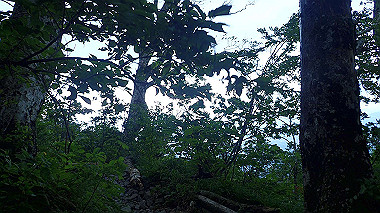 p7190177_thumb.jpg