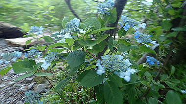 p7190179_thumb.jpg