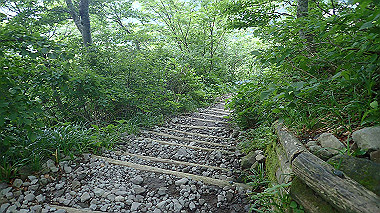 p7190181_thumb.jpg