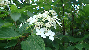 p7190183_thumb.jpg