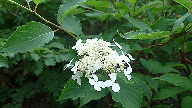 p7190184_thumb.jpg