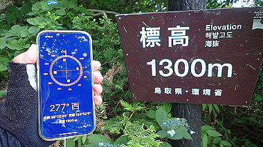 p7190189_thumb.jpg