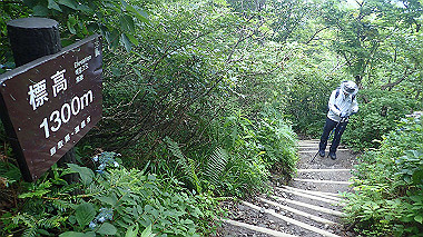 p7190190_thumb.jpg
