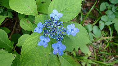 p7190195_thumb.jpg