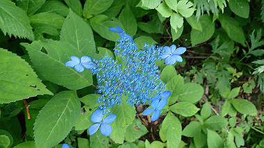 p7190196_thumb.jpg