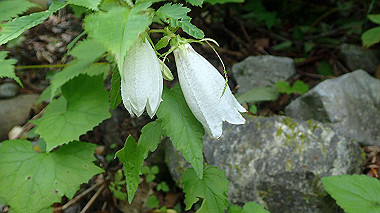 p7190198_thumb.jpg