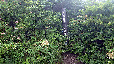 p7190216_thumb.jpg