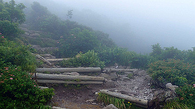 p7190222_thumb.jpg