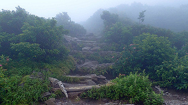 p7190223_thumb.jpg