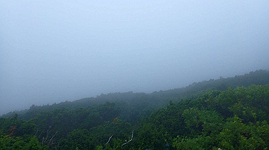 p7190227_thumb.jpg