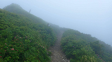 p7190228_thumb.jpg