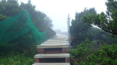 p7190230_thumb.jpg