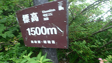 p7190251_thumb.jpg
