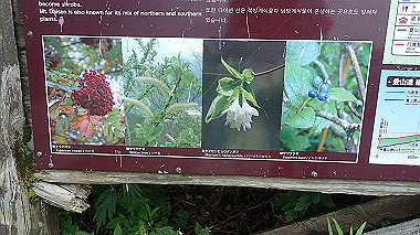 p7190257_thumb.jpg