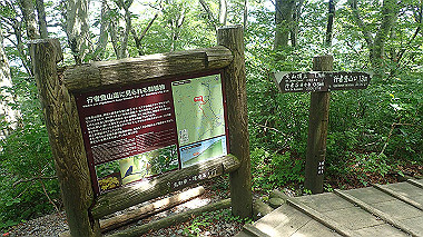 p7190258_thumb.jpg
