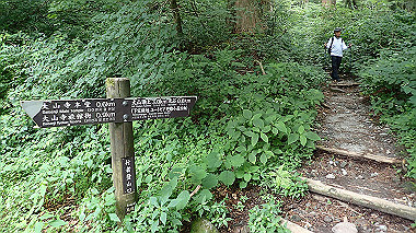 p7190275_thumb.jpg