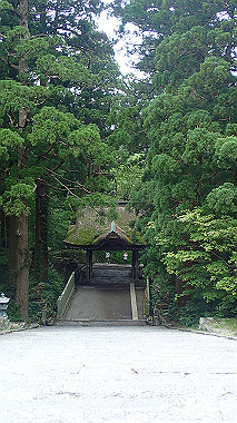 p7190282_thumb.jpg