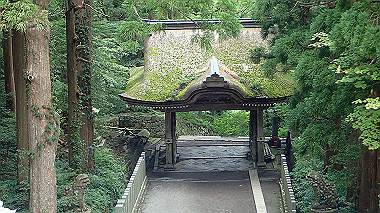 p7190287_thumb.jpg