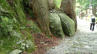 p7190298_thumb.jpg
