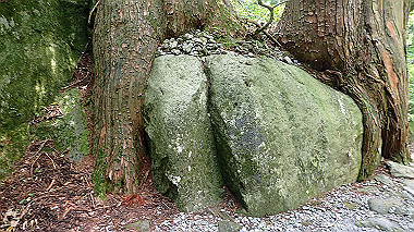 p7190299_thumb.jpg