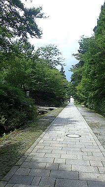 p7190305_thumb.jpg