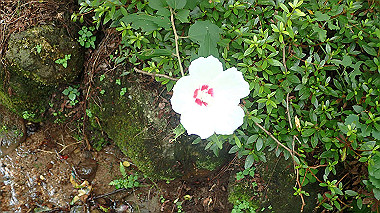 p7200347_thumb.jpg