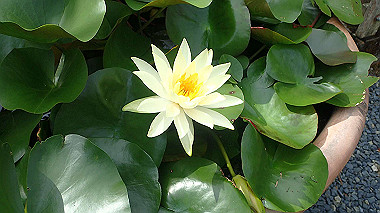 p7200350_thumb.jpg