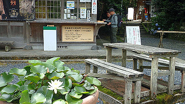 p7200351_thumb.jpg