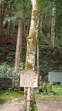 p7200354_thumb.jpg