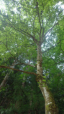 p7200355_thumb.jpg
