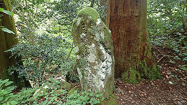 p7200372_thumb.jpg