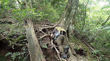 p7200378_thumb.jpg
