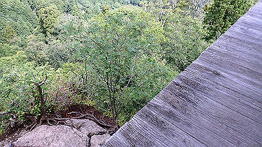 p7200386_thumb.jpg