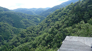 p7200387_thumb.jpg