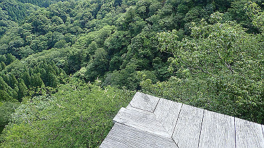 p7200388_thumb.jpg