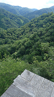 p7200389_thumb.jpg