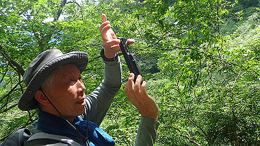 p7200404_thumb.jpg