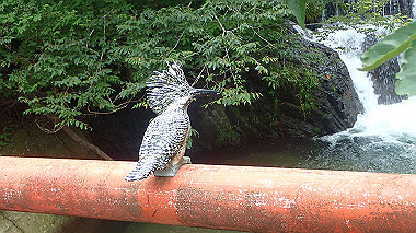 p7200425_thumb.jpg