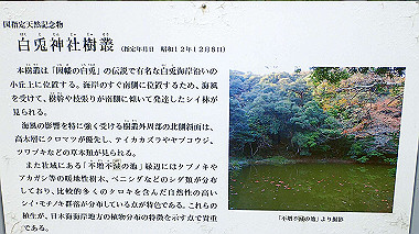 p7200433_thumb.jpg