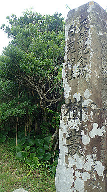 p7200434_thumb.jpg