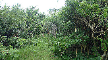 p7200435_thumb.jpg