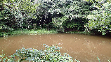 p7200441_thumb.jpg