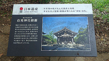 p7200448_thumb.jpg