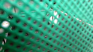 p7200451_thumb.jpg